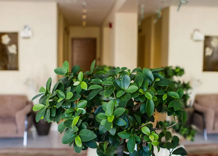 Bellevue On The 5* Rhodes City