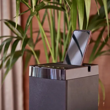 Bellevue On The 5*