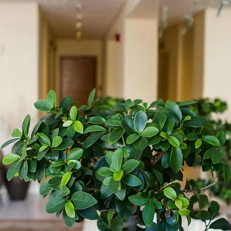 Bellevue On The 5* Родос