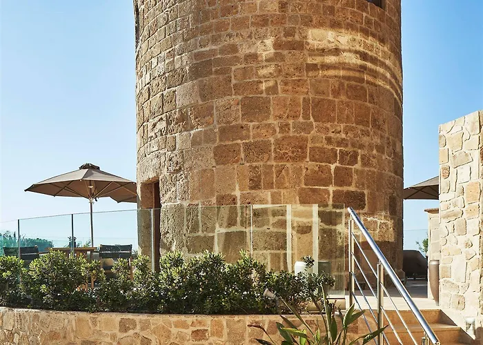 Bellevue On The Hotel